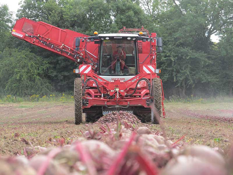 Precision agriculture at Stan White Farms, leading Beetroot suppliers in the UK